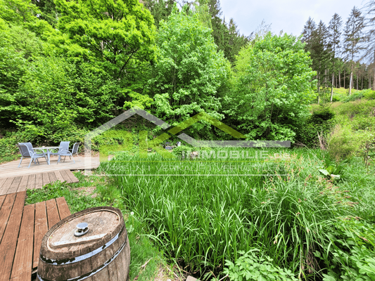 Ansicht Richtung Teich