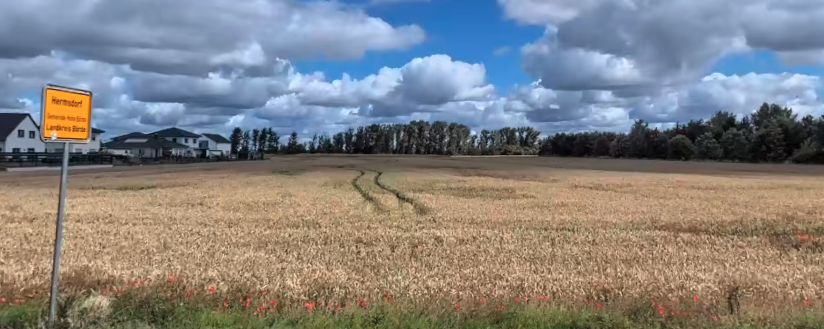 Sicht von der Hauptstraße
