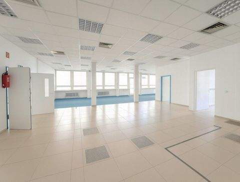 München Halle, München Hallenfläche