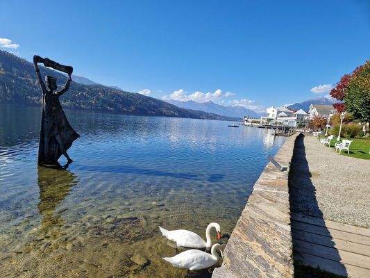 Schwäne in Millstatt