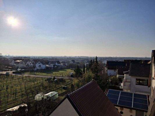 Blick in die Rheinebene.jpg