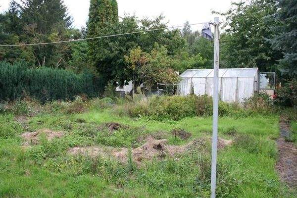 Garten mit Gewächshaus