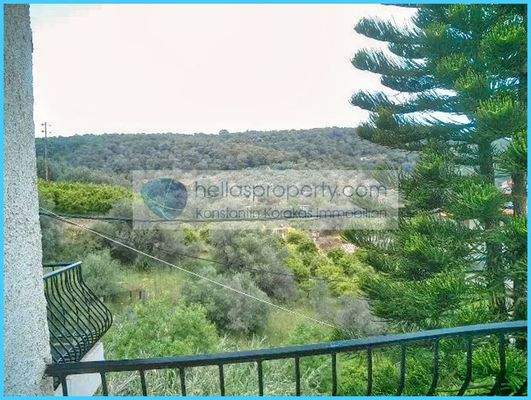 e5d784c9e6b943d8929a3350816dfa3b-original