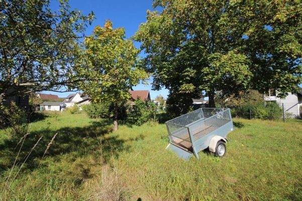 Seitenansicht rechts