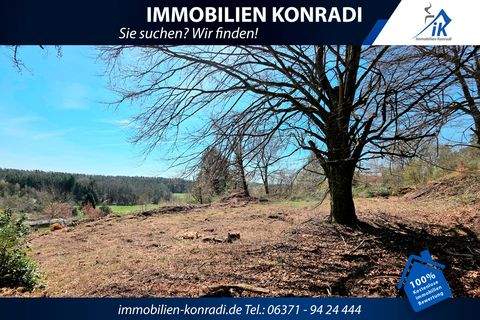 Trippstadt Grundstücke, Trippstadt Grundstück kaufen