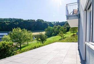 Aussicht aufs Grüne