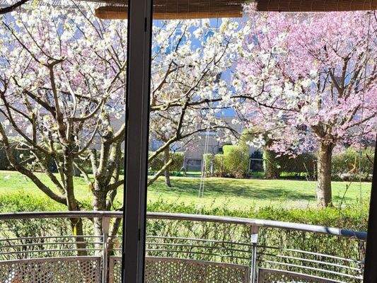 Blick im Frühling...