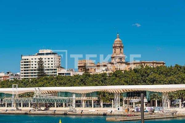 Elegant Apartments with Pool in a Prime Area of Málaga
