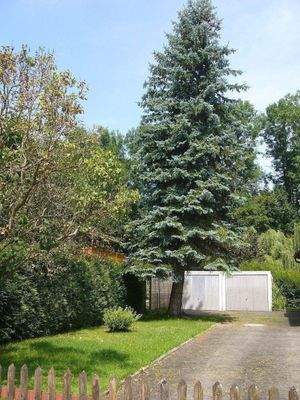 Einfahrt mit Garage.jpg