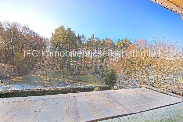 Blick aufs Grundstück