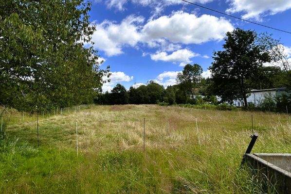 Alpakas oder Schafe vielleicht?