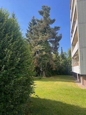 Großes Gartengrundstück 