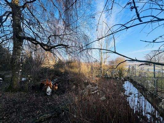 Nutzfläche / Gartenfläche