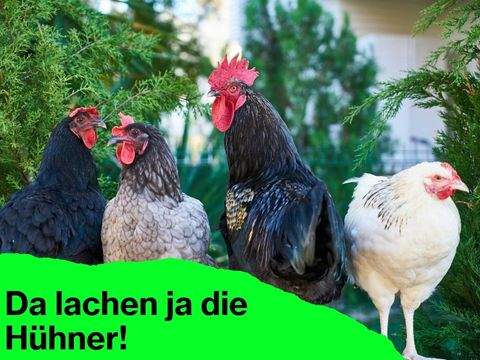 Dortmund Häuser, Dortmund Haus kaufen