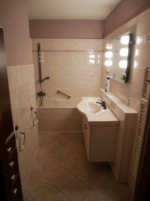 Falkenhorst 80004.jpg