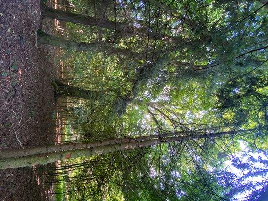 Schlosspark (20).JPG