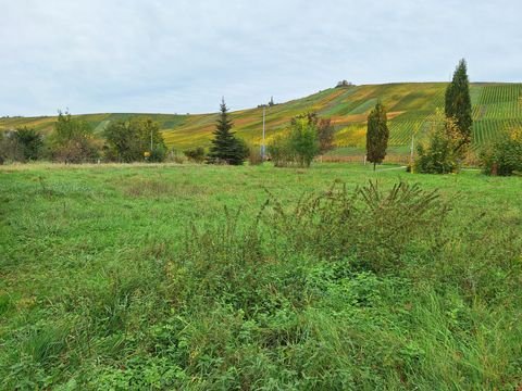 Weinstadt Grundstücke, Weinstadt Grundstück kaufen