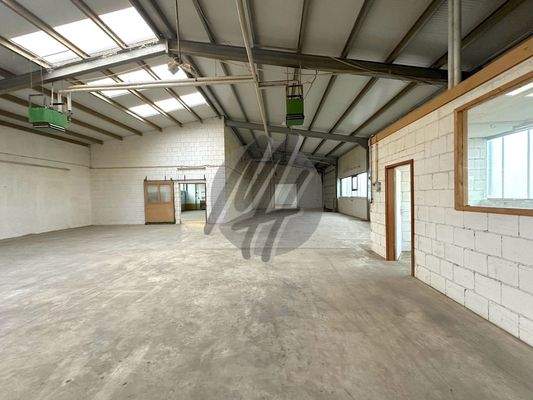 INFOS UNTER: 06171-586000