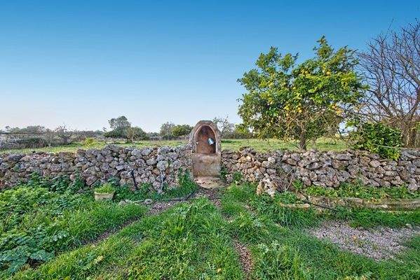Rustikales Land zum Verkauf nahe Maria de la Salut auf Mallorca