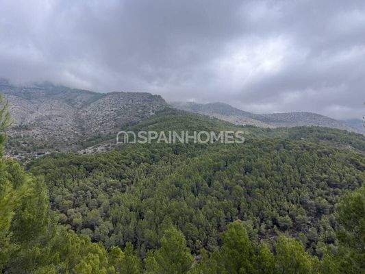 7716 sqm Sea View Residential Plot in Altea Costa Blanca