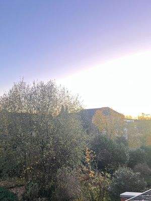 Blick vom Schlafzimmer in die Gärten