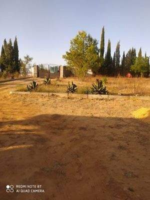 WhatsApp Bild 2024-07-17 um 20.59.02_a9542c2f