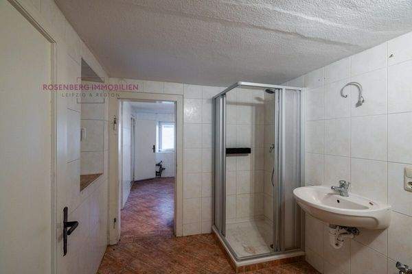 Immobilie in Döbeln zu verkaufen_Bad_1_Perspektive2