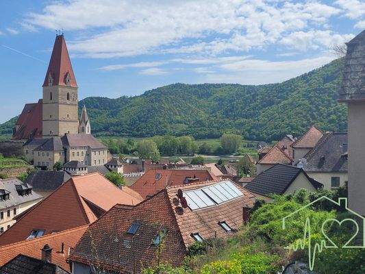 Garten mit Blick auf die Donau