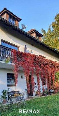 Natur auch am Balkon