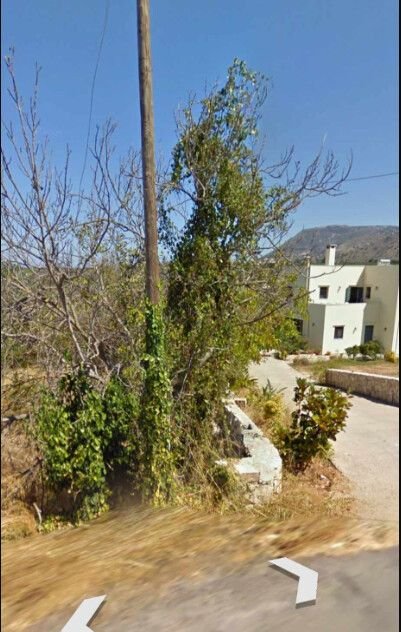 Kreta Bauernhöfe, Landwirtschaft, Kreta Forstwirtschaft