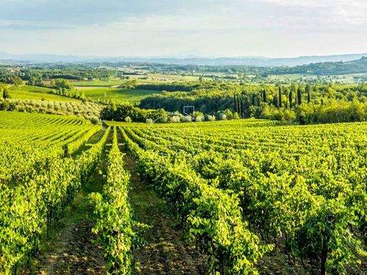 Luxus Anwesen | Civitella in Val di Chiana