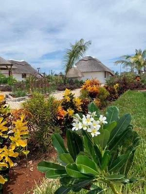 Villa surrounded by a blooming fragrant garden.jpg