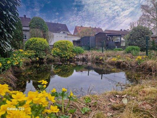 Gartenteich
