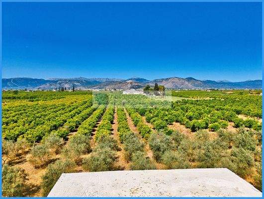 30d8680bcab84122bc18fd527368ad90-original