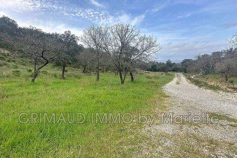Grimaud Grundstücke, Grimaud Grundstück kaufen