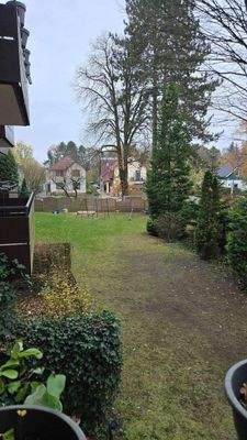 Blick in den Garten.jpg