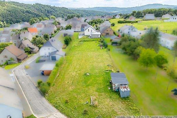 große Wiese hinter dem Haus
