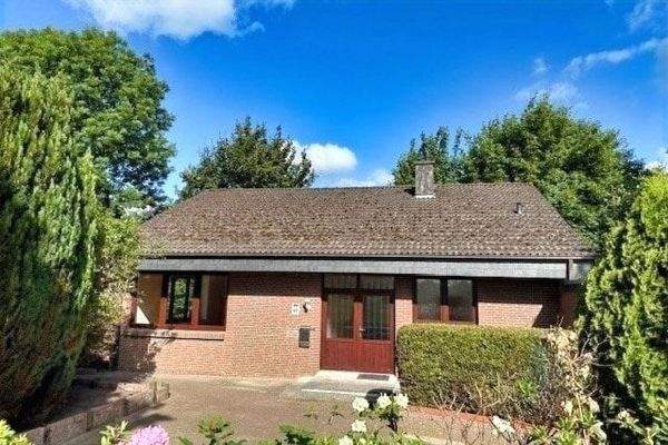 gepflegter Vorgarten