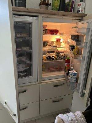 Detail Küche - Kühlschrank