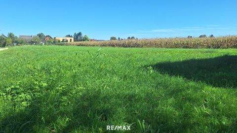 Straß in Steiermark Grundstücke, Straß in Steiermark Grundstück kaufen