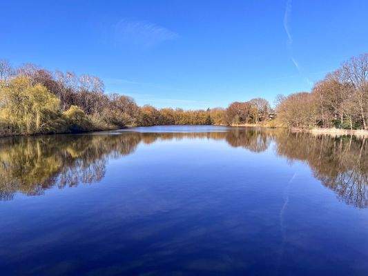 Der Kupferteich vor der Tür