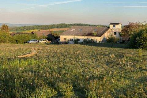 Moringen Häuser, Moringen Haus kaufen