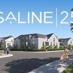 SALINE25 Logo
