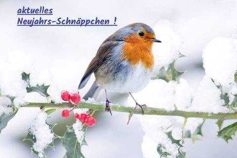 Großbottwar Häuser, Großbottwar Haus kaufen