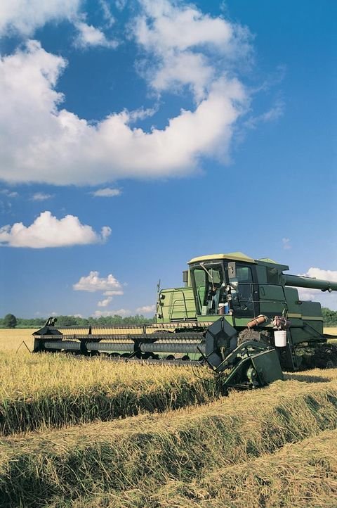 Abensberg Bauernhöfe, Landwirtschaft, Abensberg Forstwirtschaft