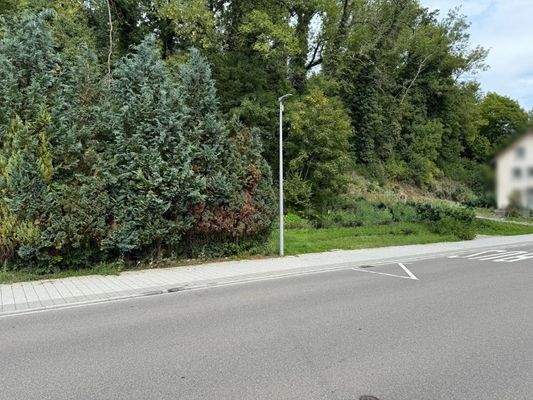 Seitenansicht links 2