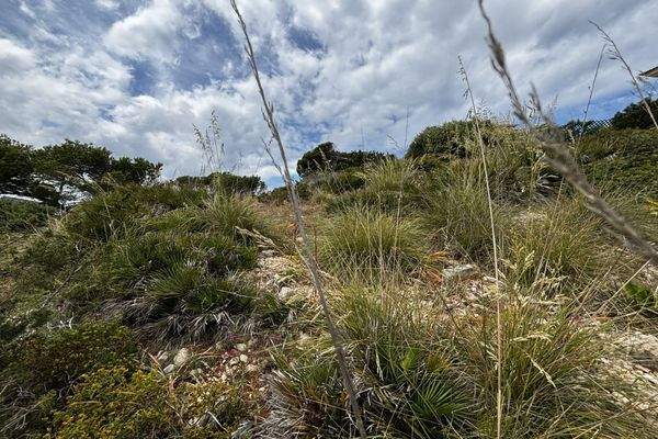 Meerblick Grundstück in Capdepera