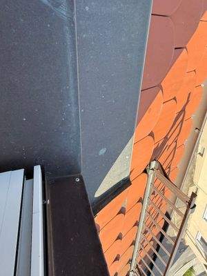 Dachziegel und Schneefanggitter