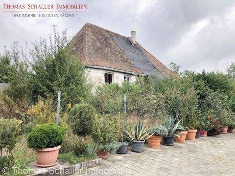 Postbauer-Heng Häuser, Postbauer-Heng Haus kaufen