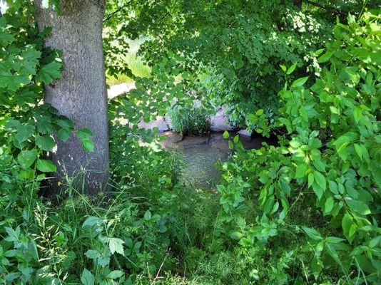 Blick zur kleinen Striegis